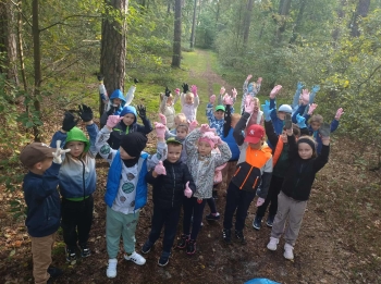 c3c9502e-be95-4ac2-bad7-e8bd34803222.jfif