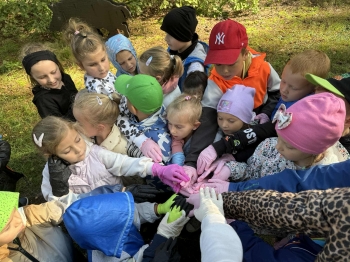 dfee9580-3f64-4e80-b140-02836df39d19.jfif