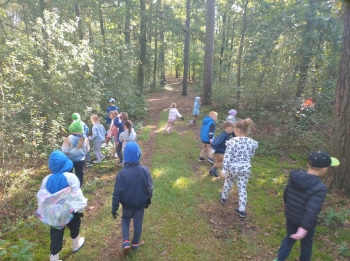 731475da-a77b-4189-9c42-5b08eb5dd2dc.jfif