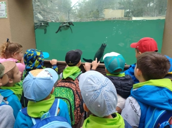 bf2a75c6-9fe4-49d8-ab05-9c1a7f93752d.jfif