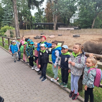 9a6b2e85-d039-48db-ae49-b5997a81b858.jfif