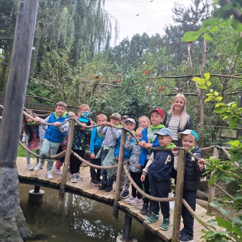 34736da7-aa0b-424c-8b53-b5a2867f6d9c.jfif