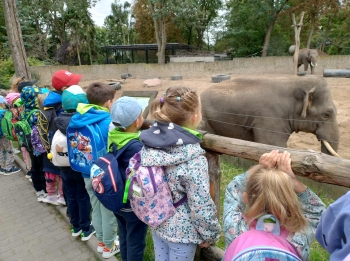 ba8ee326-581d-430a-bc73-cb1639248176.jfif