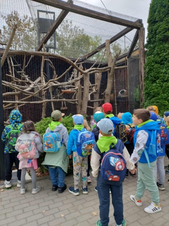 4b7bbef4-e252-4af6-984d-de8d4cbe746a.jfif