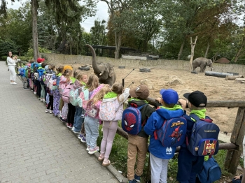 a5d33636-5caf-49ef-b49b-7bdcb42c3d52.jfif