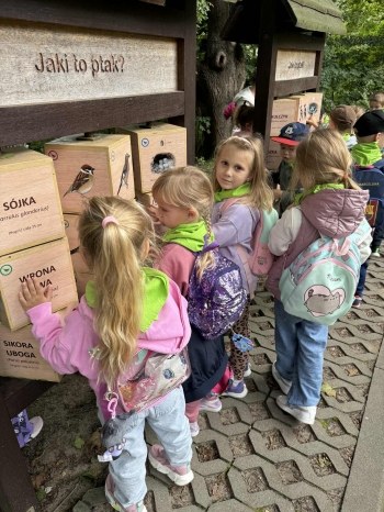 c2f634b6-7a66-4284-9956-983d826bc14a.jfif