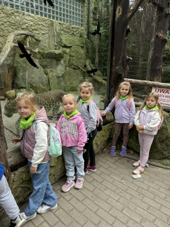 cfd2d44a-6497-44b9-950a-cf6d18139948.jfif