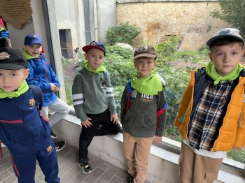 8764ee94-75b5-4e1f-8b84-d5dbd6ad3306.jfif