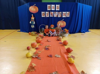 1ef39aea-caf9-422c-8280-6e5137311fb1.jfif