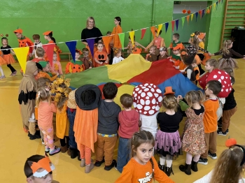 d1597a6f-2bd2-4787-a13b-66f6ba7e7905.jfif