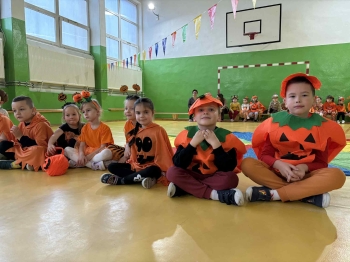 b9e45095-84e9-4d1f-aa98-5913012ca7e0.jfif