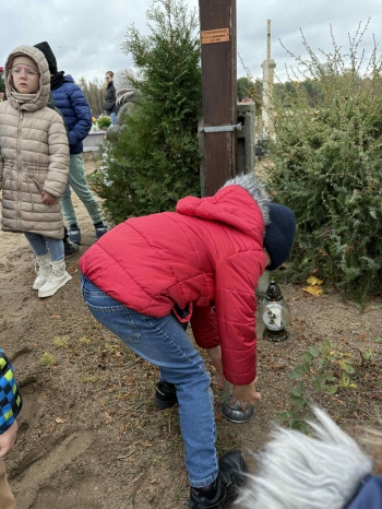 5bac1cce-8587-49a8-8c2a-9356bb5cfd64.jfif