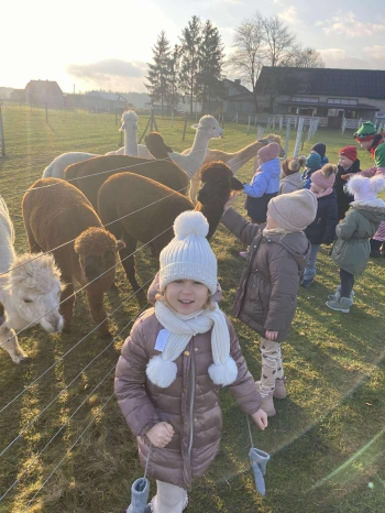 597365546_1545617623427921_602711821791335659_n