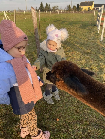 597245139_1187675812780187_2841229884157982739_n