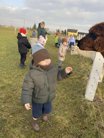 597221001_1175101901427129_2403476636960700047_n