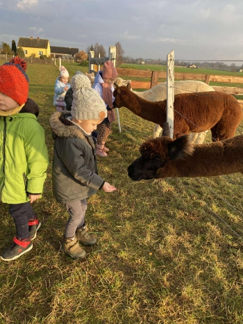 597560918_1775119193187424_1836939451081754000_n