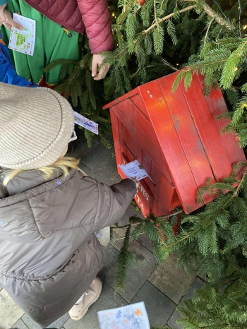 597075826_675952278788267_4630023337989234543_n