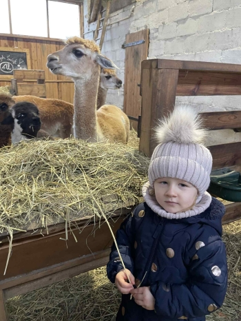 ed7772c8-b773-4dc7-8bc9-8b51604b19d7.jfif