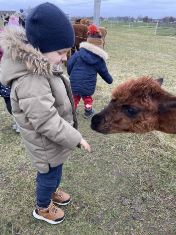 b80c03ae-d8f9-44aa-803d-5c9b3bbaf5a9.jfif