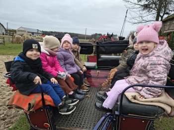 b2598602-721c-48d7-a6c2-befed10711a5.jfif