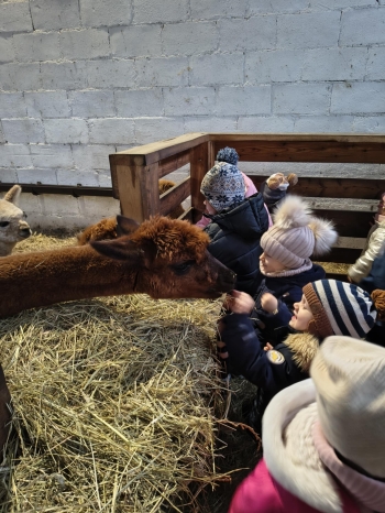 f605c230-bc85-4a8a-8e05-a95d09ab21e0.jfif