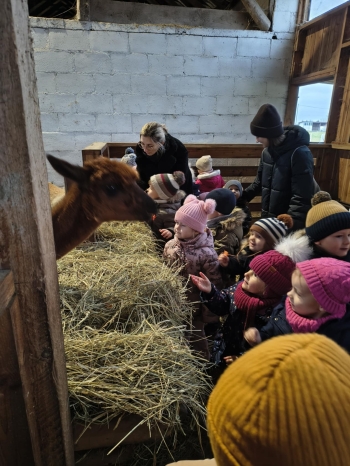 025ffba5-2e0c-467f-a3c7-6af3dc2d3aaf.jfif