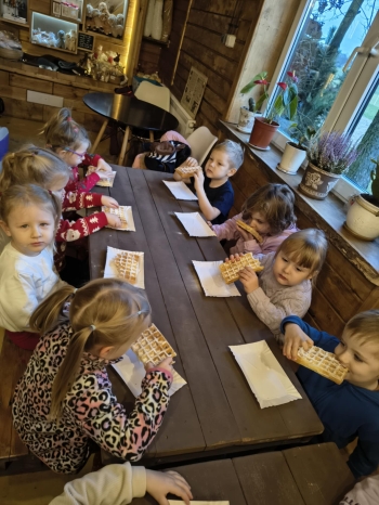 e0419e2d-6bf2-42d1-9681-7e72cd50ee63.jfif