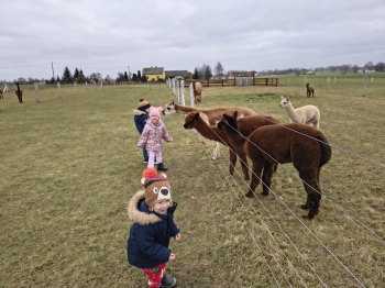 635f8906-1ec6-4ebd-8077-54fae2a83105.jfif