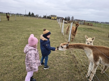 ddc41214-d35a-48e2-849f-68bbe64aaab4.jfif