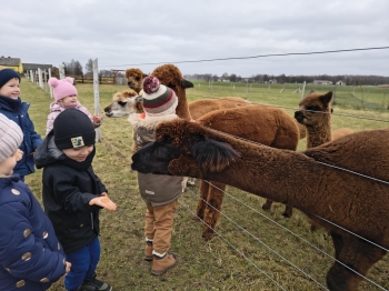 d4ce4b2f-263b-4827-a8fa-1a77d164b7a7.jfif