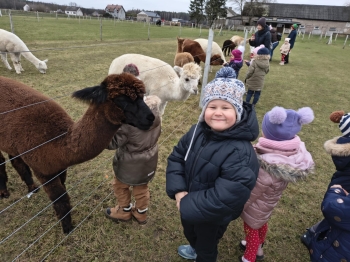 be01bcbe-a5b3-4f2d-99c7-051ef3383edf.jfif