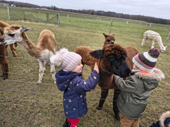 eb19bbc4-5149-449b-acab-911b882ed9a4.jfif