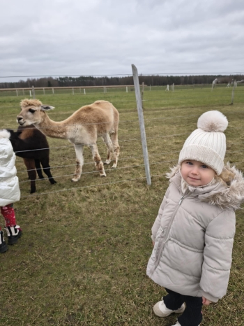 7928e4e0-679e-4e02-8f05-ae68ae3ce402.jfif