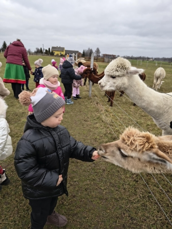 cc85a372-c9c9-41da-bdb2-42d7a41fb954.jfif