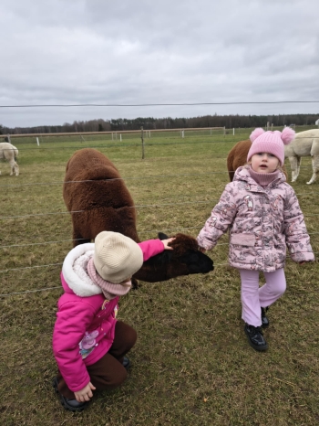 b9c67eaa-99f1-417f-86f6-97aa223aff7c.jfif