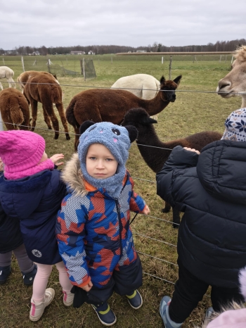 dd562c24-8df0-4985-a375-404db10dd574.jfif