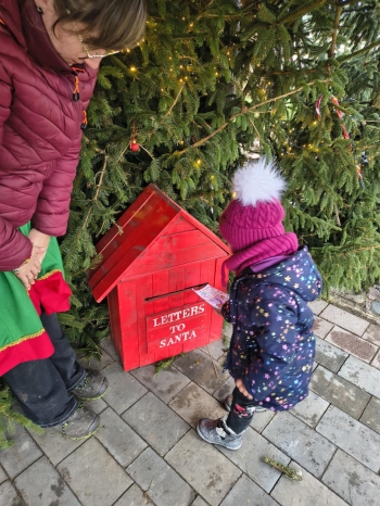 68f73358-0be5-493d-bbda-2f300b74c210.jfif