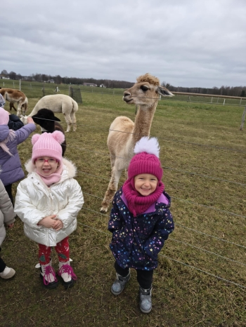 a72737cb-c786-4a9b-b9a5-07e739ad94e5.jfif