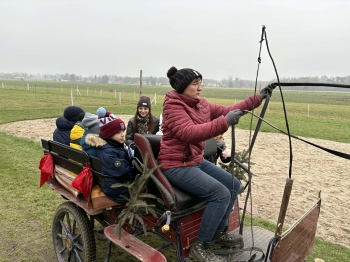 b6aca752-e6bf-47bb-a4d1-e95a62400d7c.jfif