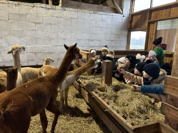 936540a5-2673-4f03-b758-08d3e6493210.jfif