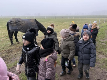 badd86f6-1ff0-4401-82cc-975bccbd2de6.jfif