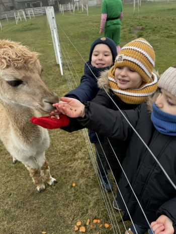 dcb9c654-eca1-41d2-8503-56ec29ae9df4.jfif