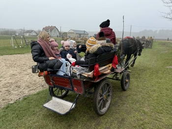 46c51a13-29d3-47a2-8e77-c1e9ac7f11d1.jfif