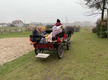 6a964573-c58a-41d4-a9c2-b1ba90580c27.jfif