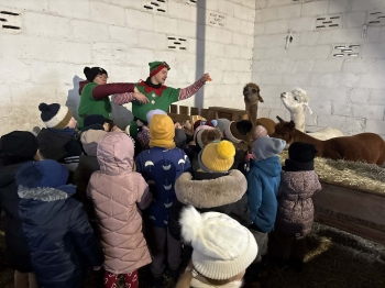 183b38a8-9141-4b95-b46b-e0d28085d54a.jfif