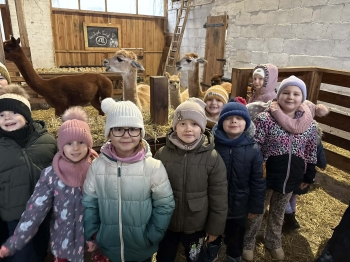 709e56e0-f422-417b-922a-4f122f890f1b.jfif