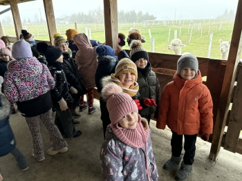 adcc81ea-6545-42e8-b24d-b7aeac0ab9fa.jfif