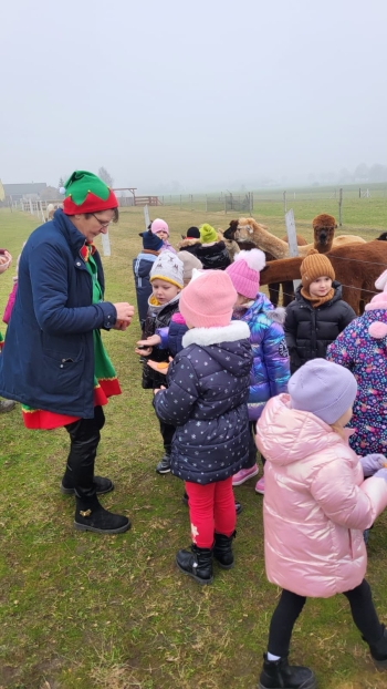 WhatsApp Image 2025-12-16 at 19.33.49.jpeg