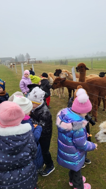 WhatsApp Image 2025-12-16 at 19.33.50.jpeg