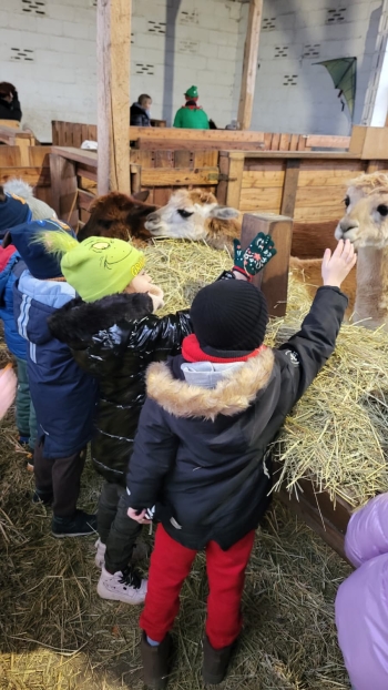 WhatsApp Image 2025-12-16 at 19.34.29 (1).jpeg